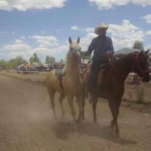 Meet your Posher, Liz